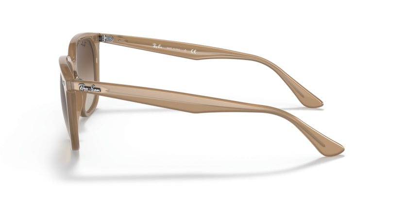 Gafas de Sol Ray-Ban RB4362 616613 55 18