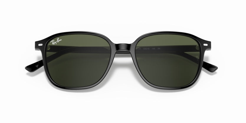 Gafas de Sol Ray-Ban Leonard RB2193 901/31 53 18