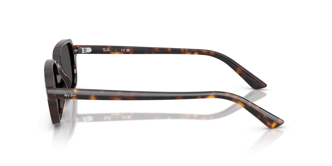 Gafas de Sol Ray-Ban RB4455 135987 52 19