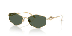 Gafas de Sol Jimmy Choo JC4017 302371 55 16