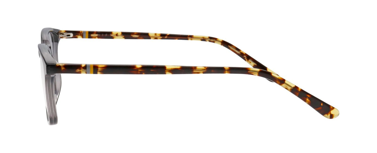 Gafas Graduadas Nifties Ni9488 6535 48 16