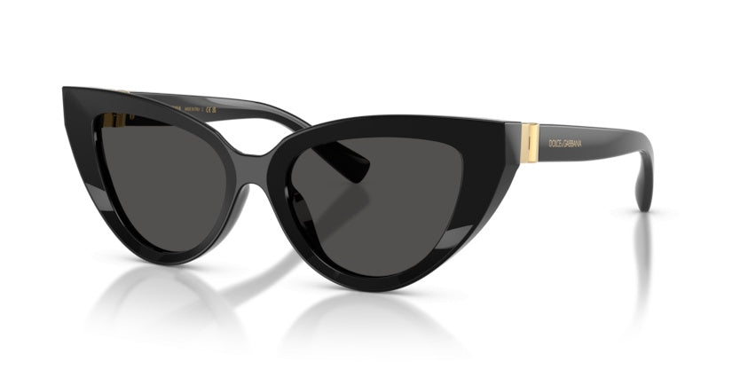 Gafas de Sol Dolce Gabbana DG4497 501/87 52 18