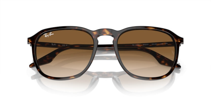 Gafas de Sol Ray-Ban RB2203 902/51 55 20