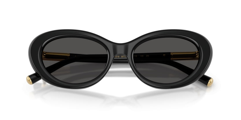 Gafas de Sol Dolce Gabbana DG4519 501/87 54 18