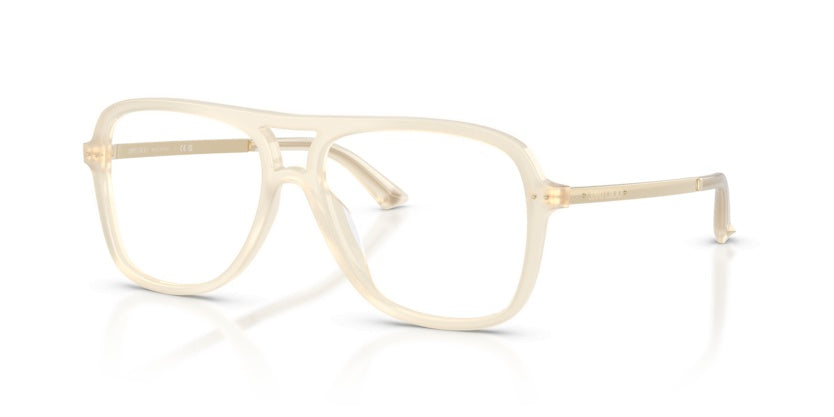 Gafas Graduadas Jimmy Choo JC3052U 5089 55 15