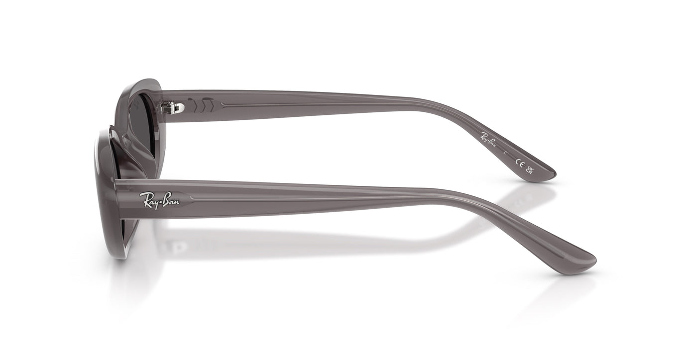 Gafas de Sol Ray-Ban RB4441D 677787 53 21