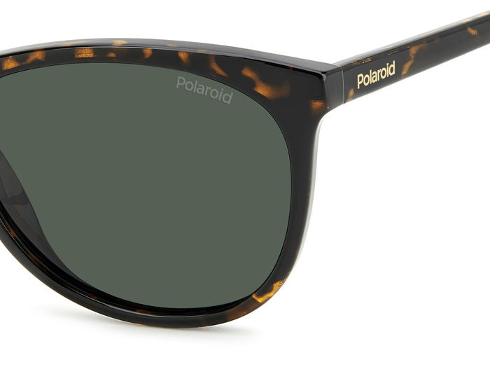 Gafas de Sol Polaroid PLD 4161/S 086UC 55 17