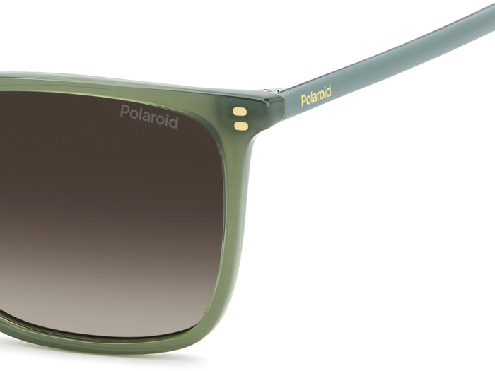 Gafas de Sol Polaroid PLD 4207/S/X 1EDLA 55 17