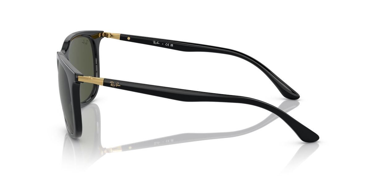 Sunglasses Ray-Ban RB4386 601/31 54 20