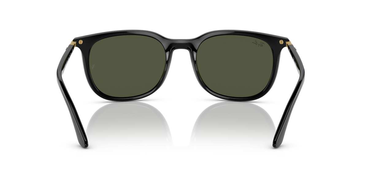 Sunglasses Ray-Ban RB4386 601/31 54 20