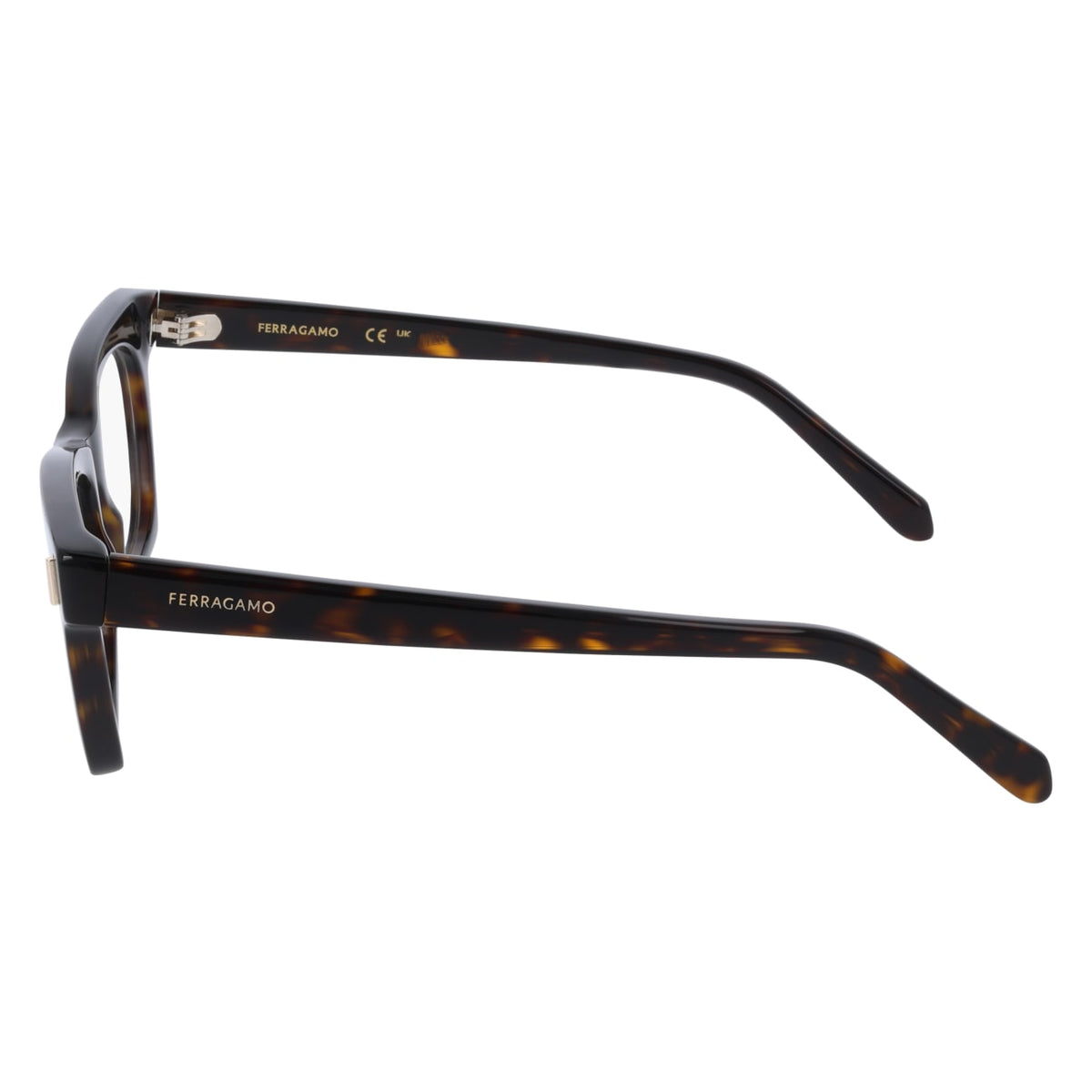 Gafas Graduadas Ferragamo SF3025 242 51 17