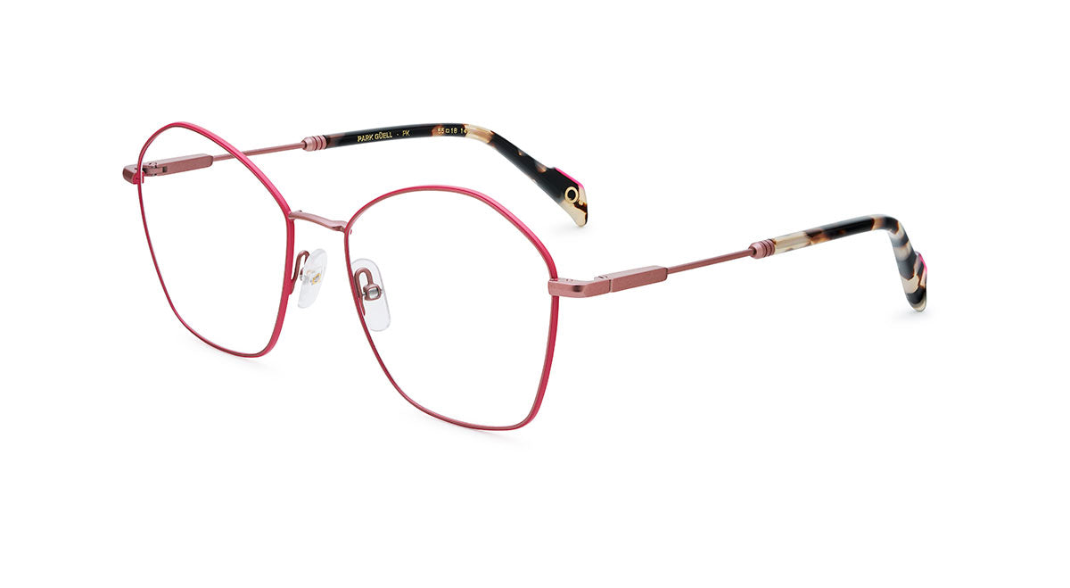 Gafas Graduadas Etnia PARK GUELL