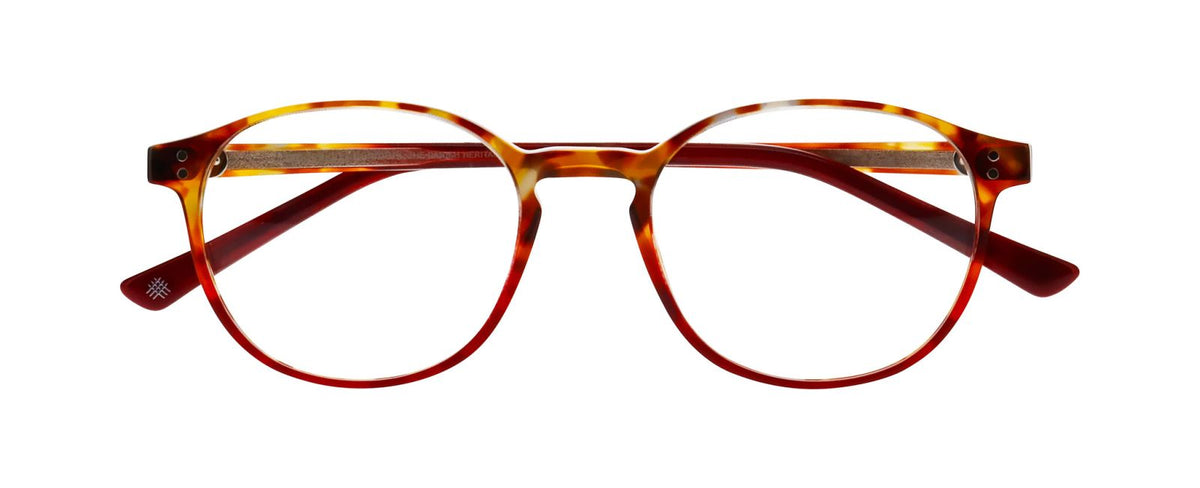 Prescription Glasses Prodesign Model 4771 4024 50 19