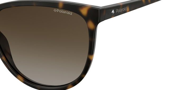 Gafas de Sol Polaroid PLD 4066/S 086LA 57 16