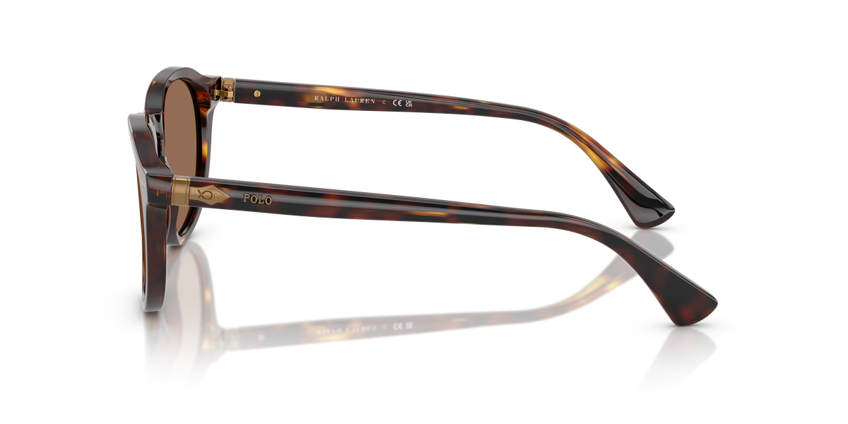 Gafas de Sol Polo Ralph Lauren PH4221 613773 52 19