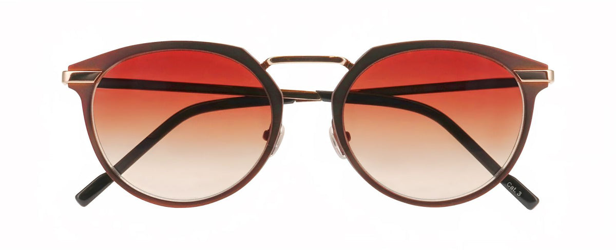 Gafas de Sol Prodesign Force 1 S 5031 53 19