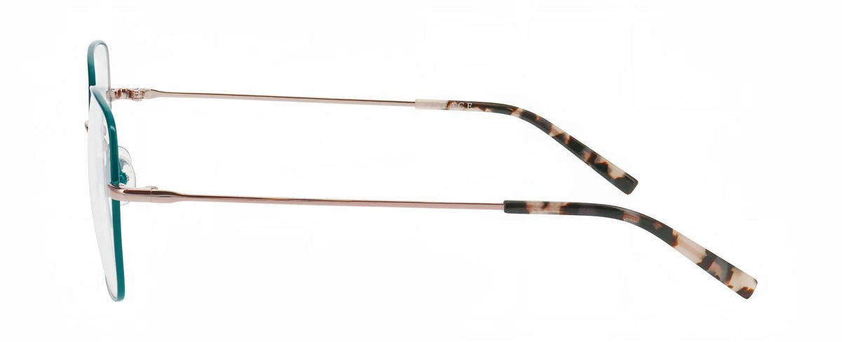 Prescription Glasses Inface Dodo 9521 52 17