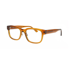 Prescription Glasses Prodesign Cut 6 5025 55 21 Con plaquetas