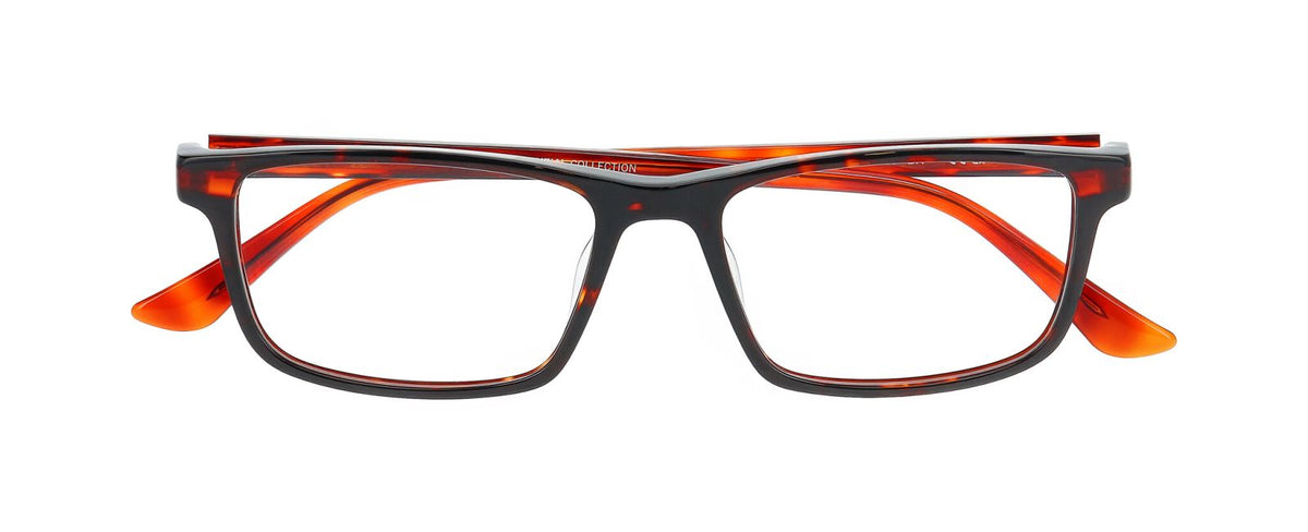Prescription Glasses Prodesign Fill 4 5522 54 17 Con plaquetas