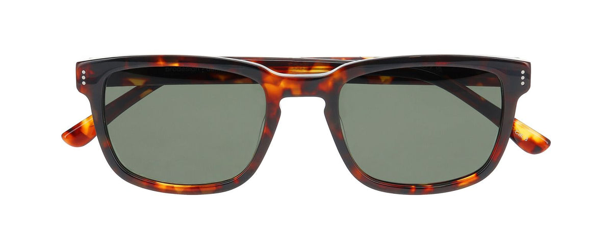 Sunglasses Prodesign Haze 1 S 5522 53 21 Con plaquetas