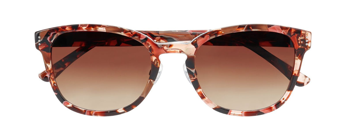 Gafas de Sol Prodesign Haze 2 S 4224 54 21 Con plaquetas