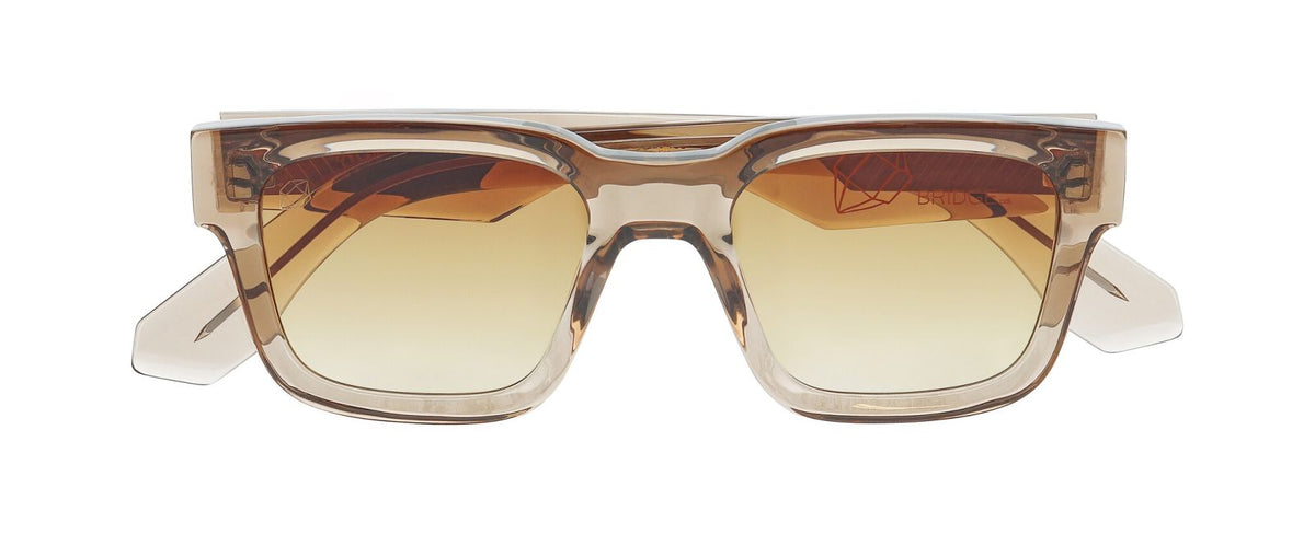 Sunglasses Prodesign Iron 5022 51 20