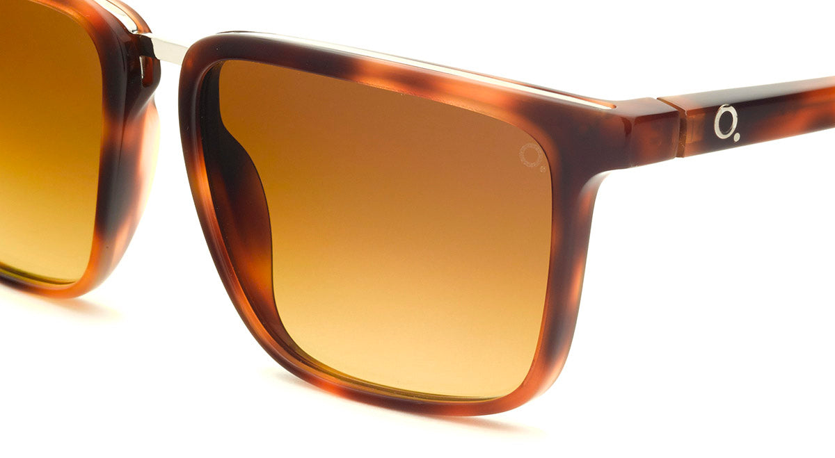 Gafas de Sol Etnia ARGENTERIA SUN