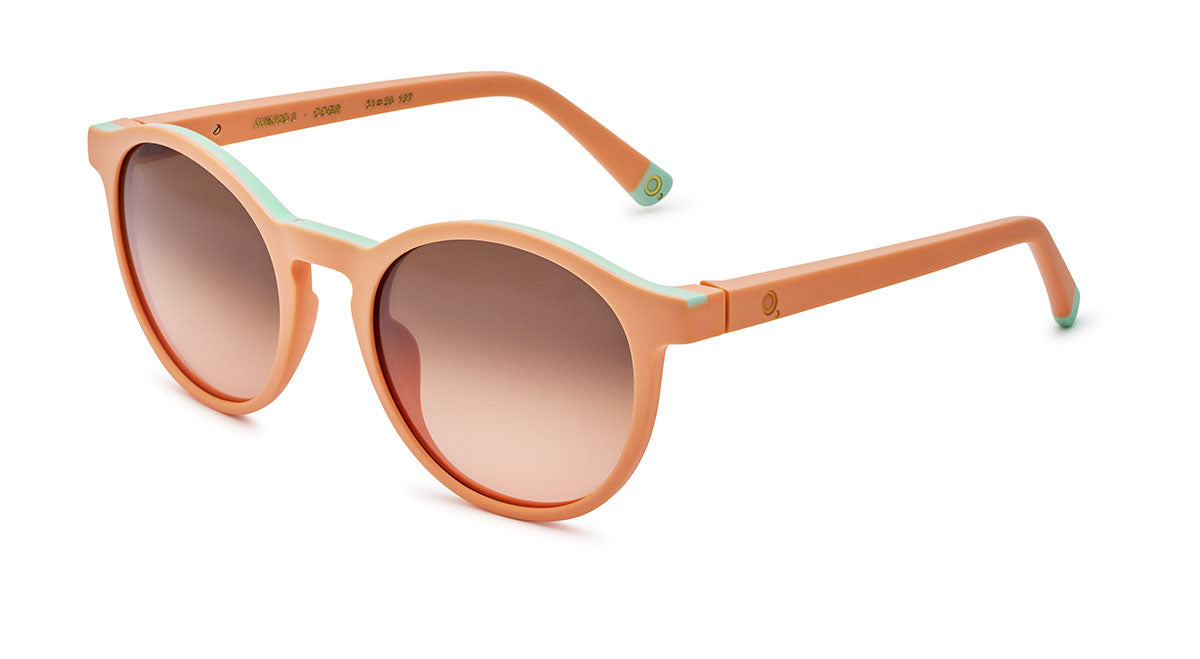 Gafas de Sol Etnia AVINYO 3 SUN - CO/GR