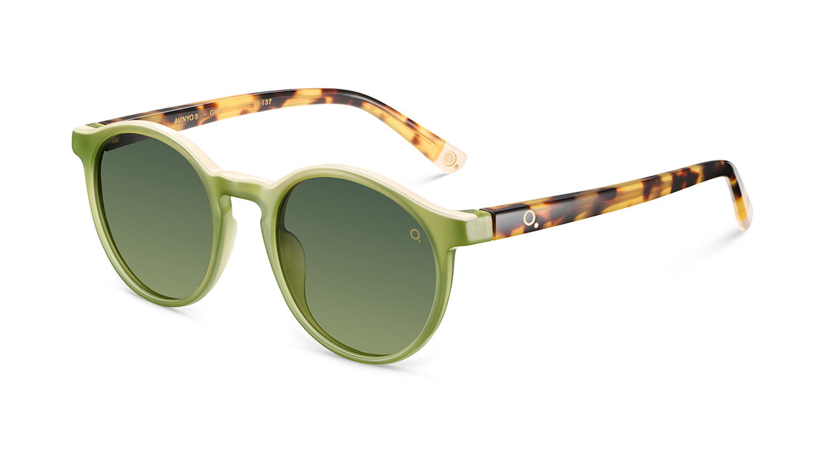 Gafas de Sol Etnia AVINYO 3 SUN - GR/HV