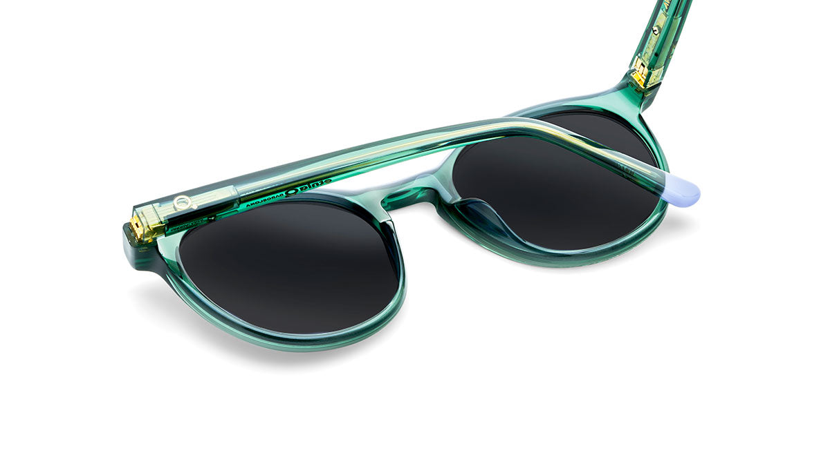 Gafas de Sol Etnia AVINYO 3 SUN - GR/PU