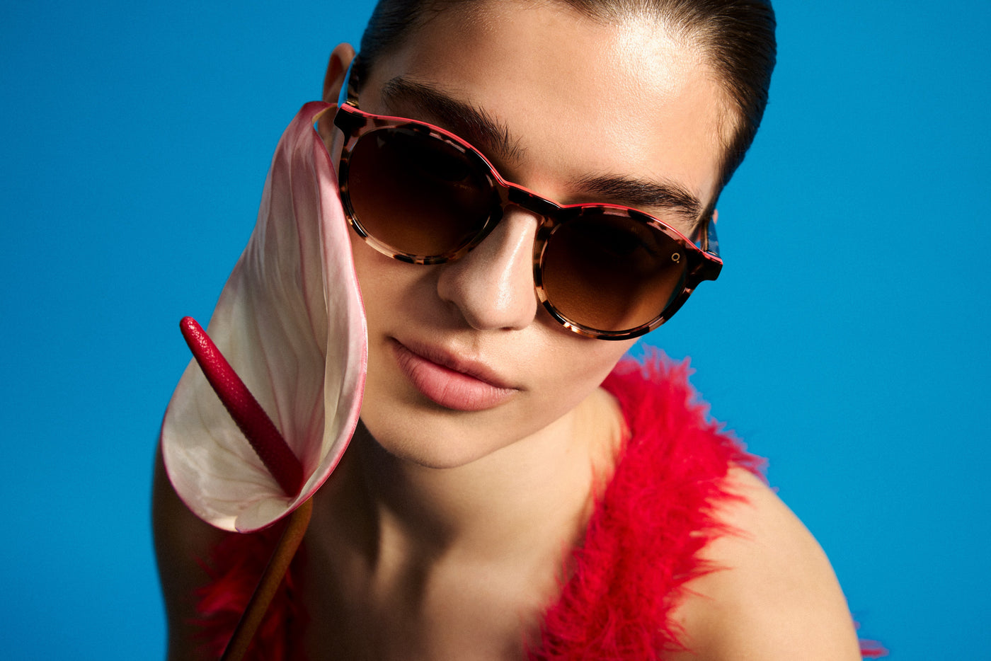 Gafas de Sol Etnia AVINYO 3 SUN - HV/RD