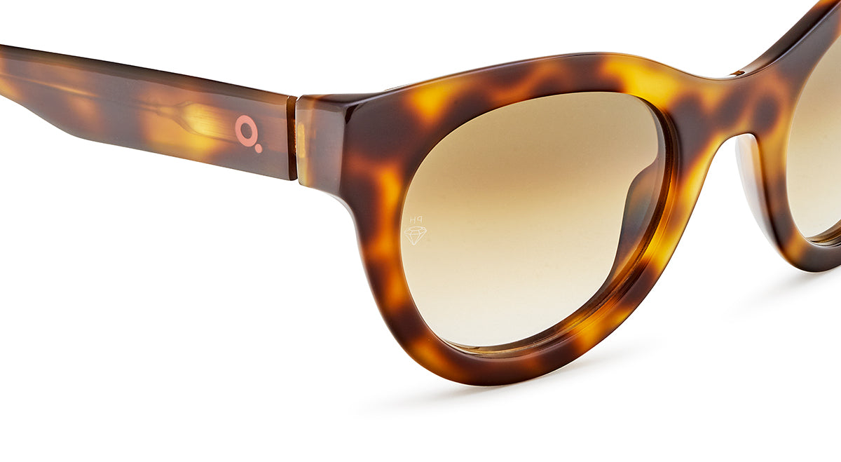 Gafas de Sol Etnia BRUTAL NO.08 SUN
