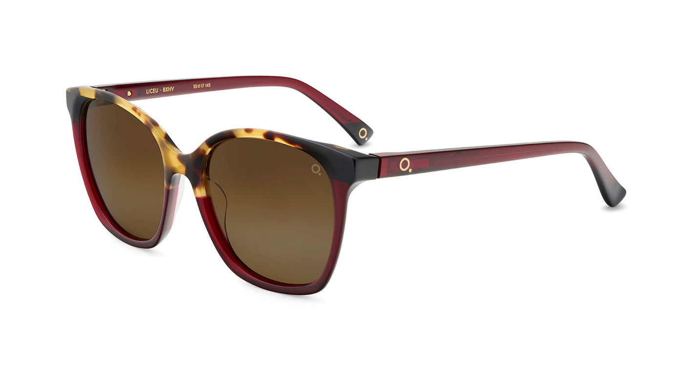 Gafas de Sol Etnia LICEU