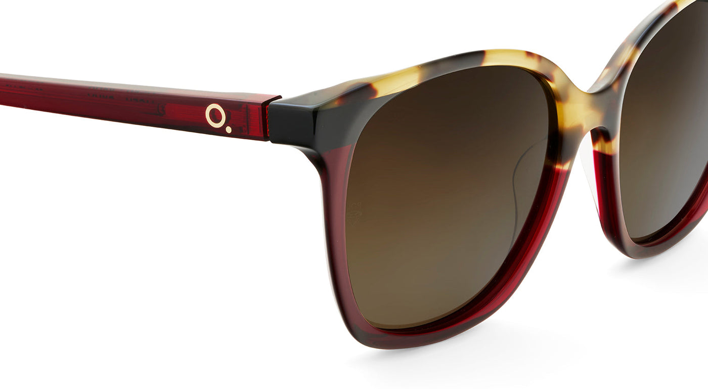 Gafas de Sol Etnia LICEU