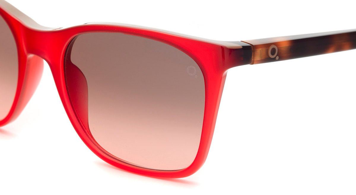Gafas de Sol Etnia MONTSIO SUN
