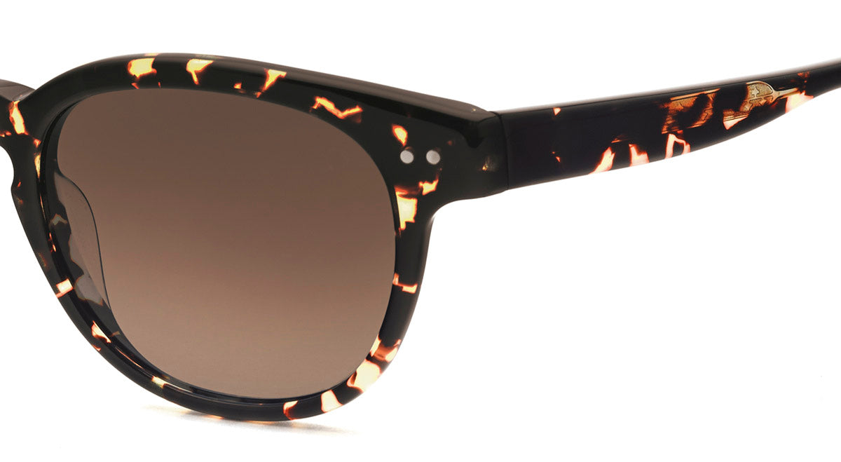Gafas de Sol Etnia WILLIAMSBURG SUN