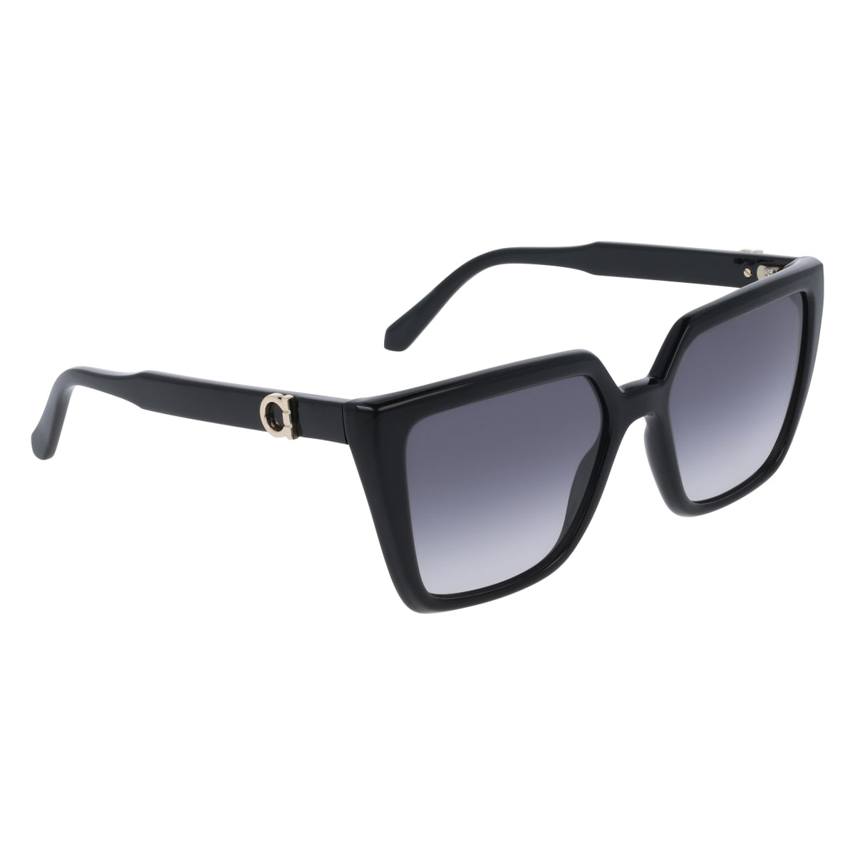 Gafas de Sol Ferragamo SF2058SE 001 54 17