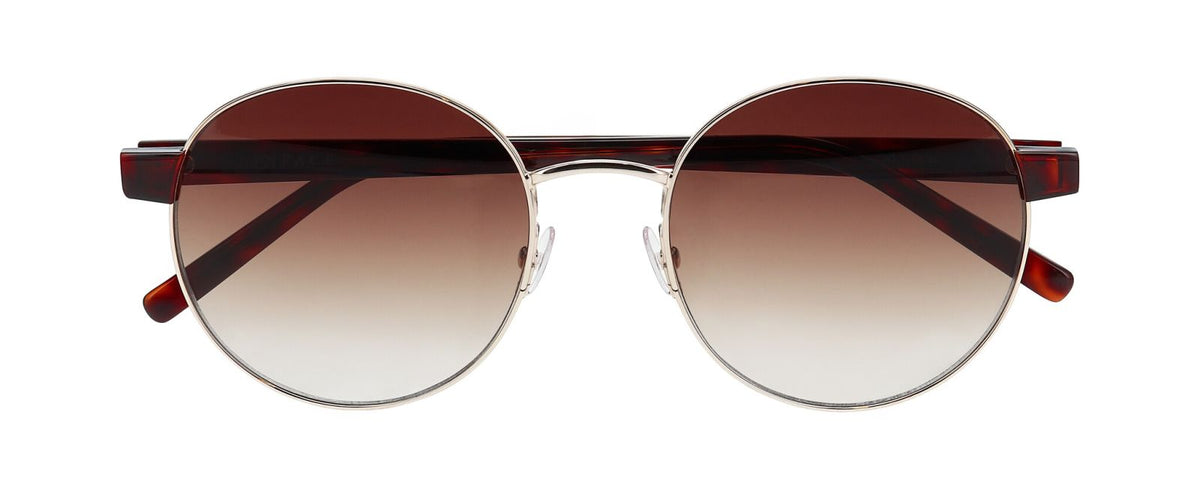 Gafas de Sol Inface Oops 4224 55 20