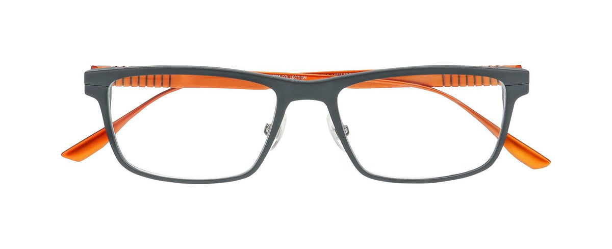 Gafas Graduadas Prodesign Proflex 5 6631 52 17