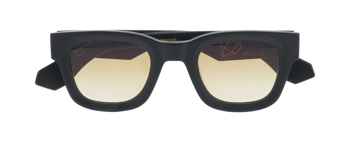 Gafas de Sol Prodesign Stone 6021 47 25