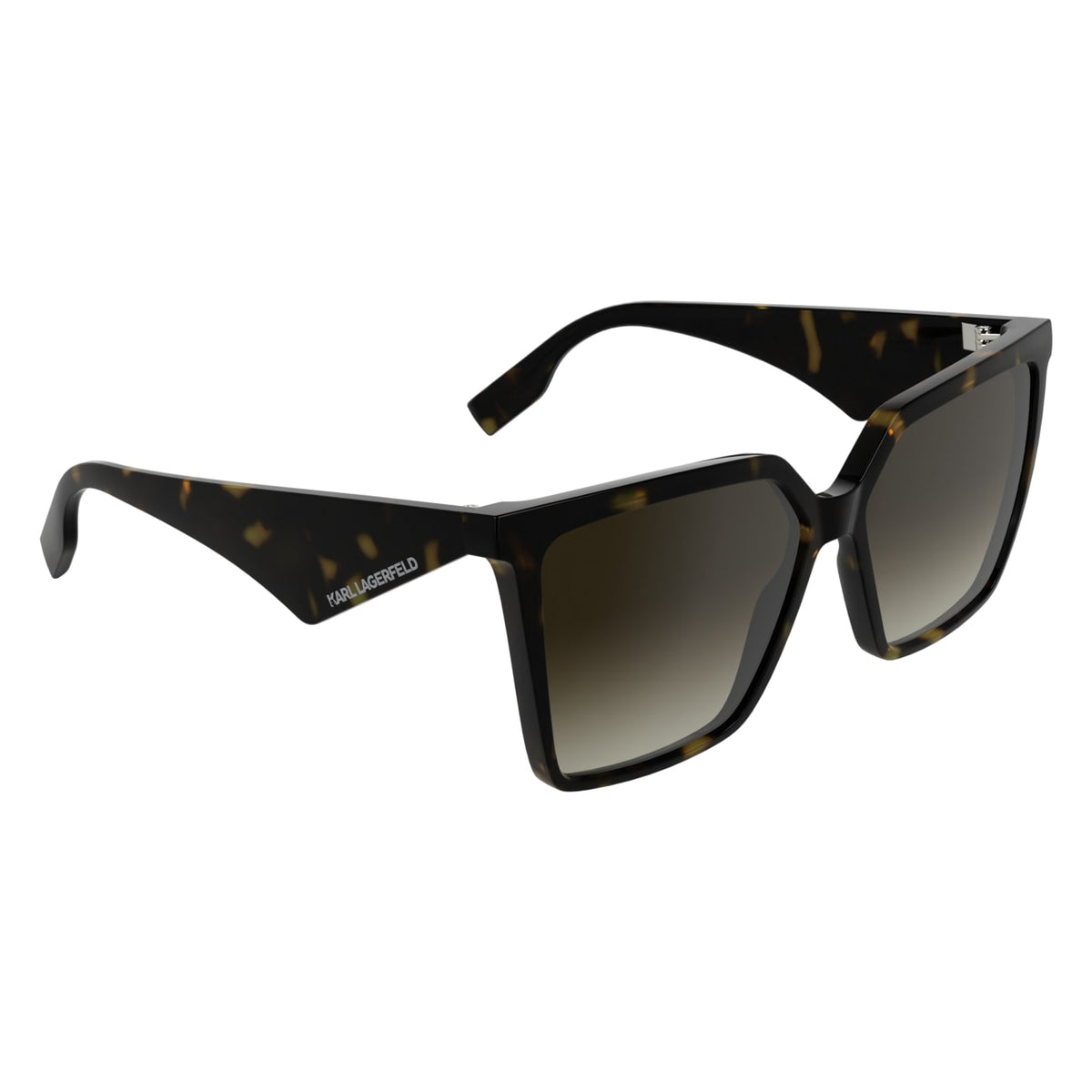 Gafas de Sol Karl Lagerfeld KL6207S 242 57 14