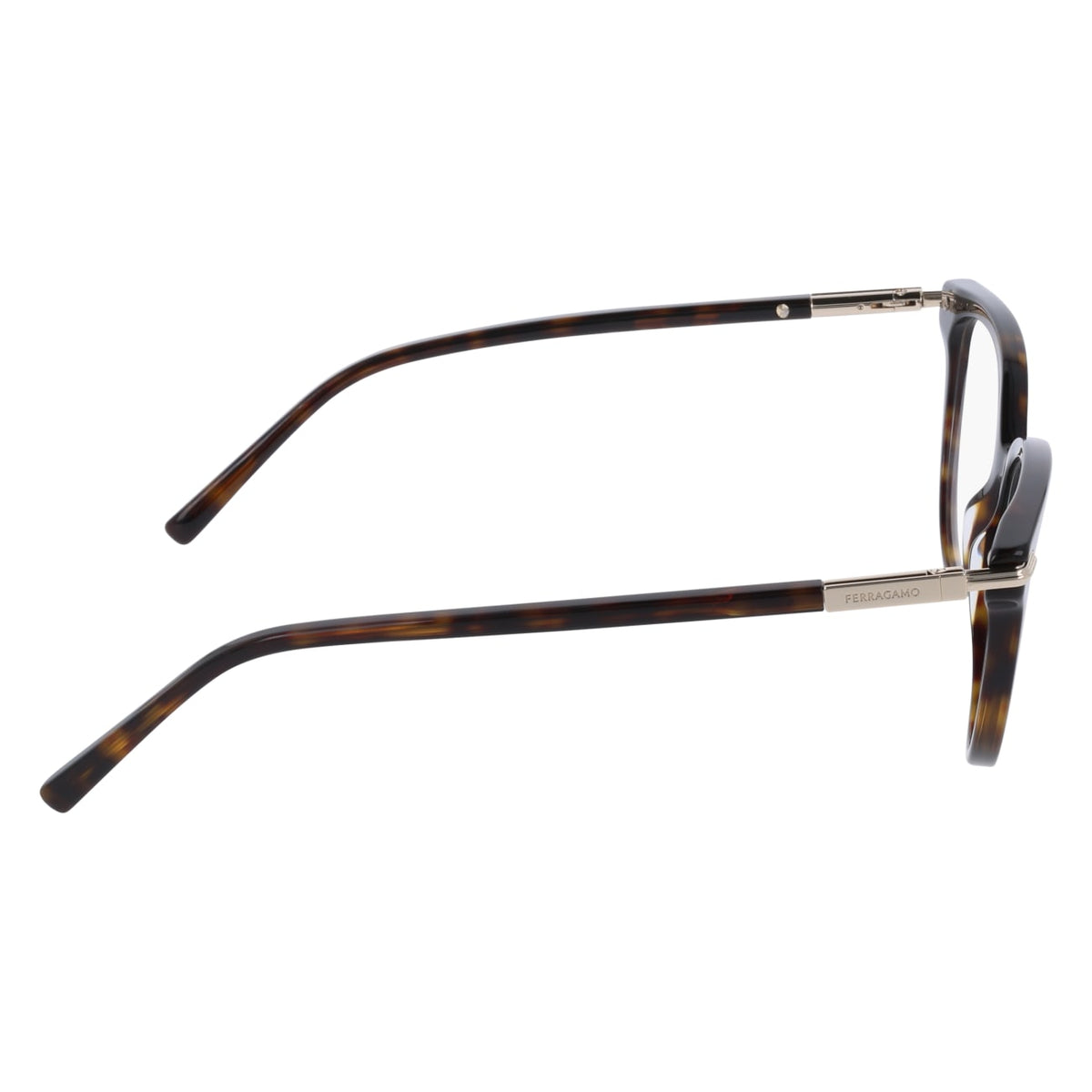 Gafas Graduadas Ferragamo SF3026 242 52 / 55 17