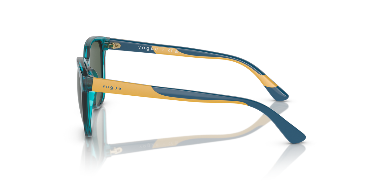 Sunglasses Vogue Eyewear VJ2019 306871 48 17