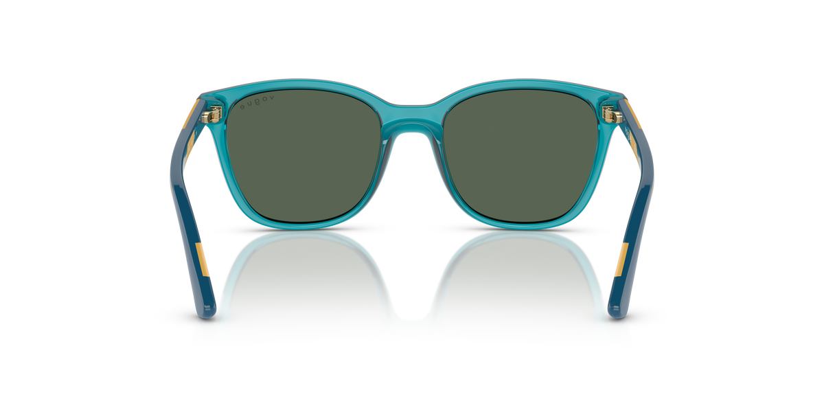 Sunglasses Vogue Eyewear VJ2019 306871 48 17