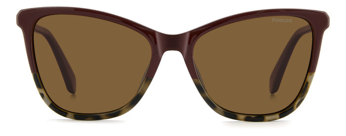 Gafas de Sol Polaroid PLD 4194/S YDCSP 55 17