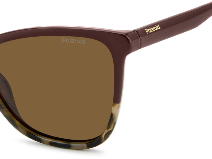 Gafas de Sol Polaroid PLD 4194/S YDCSP 55 17