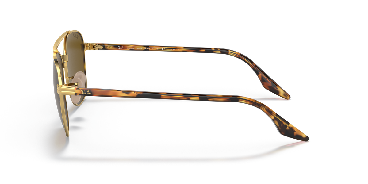 Gafas de Sol Ray-Ban RB3688 001/AN 52 19