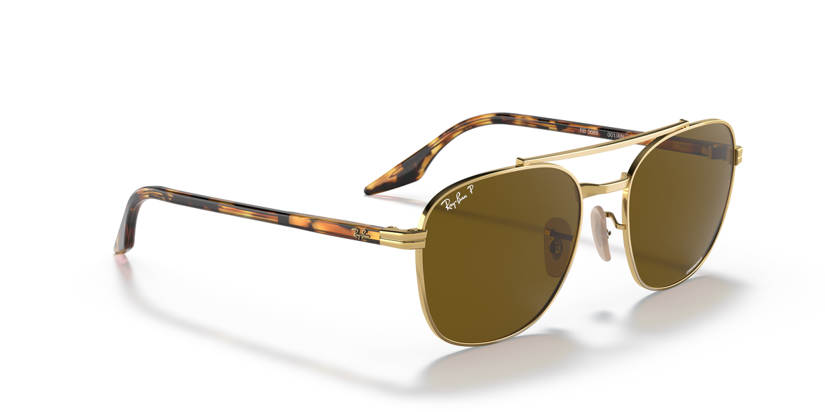 Gafas de Sol Ray-Ban RB3688 001/AN 52 19