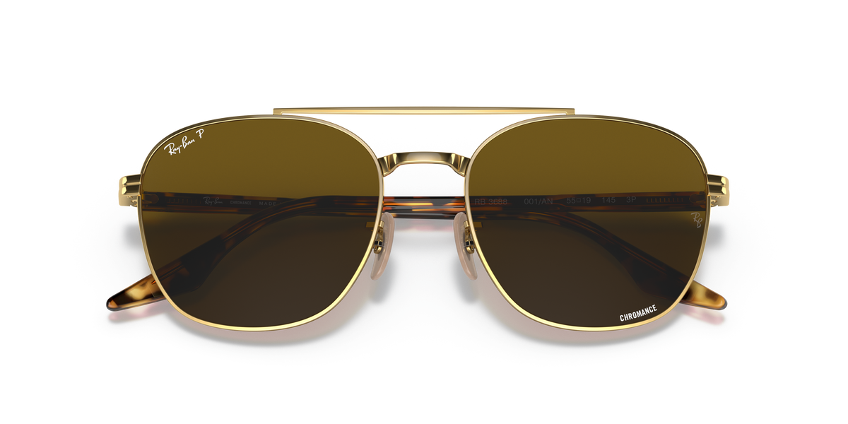 Gafas de Sol Ray-Ban RB3688 001/AN 52 19