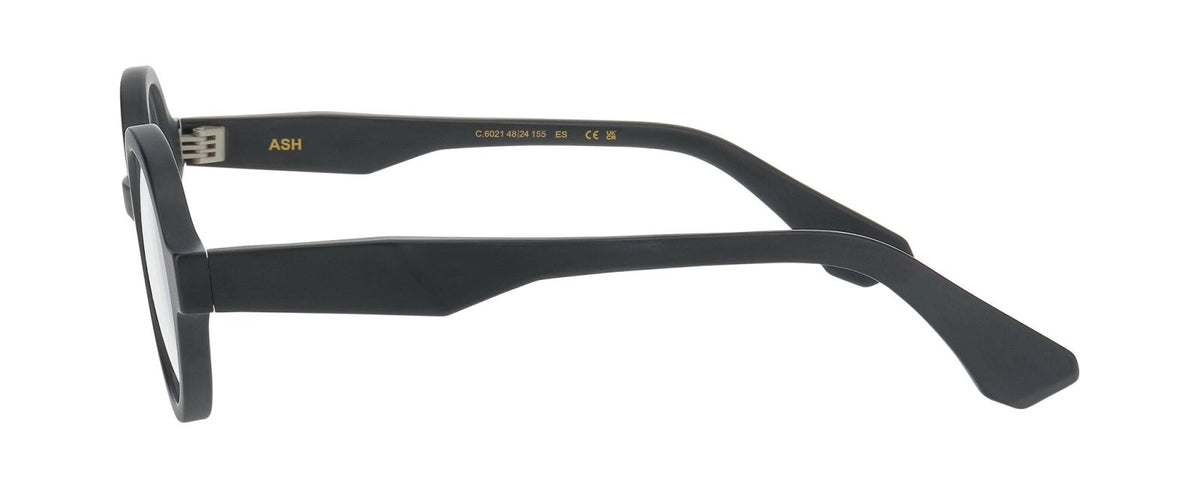 Prescription Glasses Prodesign Ash 6021 48 24